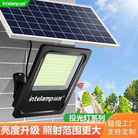 太阳能灯;庭院灯;道路照明灯