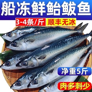 �T�E�~���l�~���r��̨�~�R�o�~���l����໨�~�R���~�y�~���~����