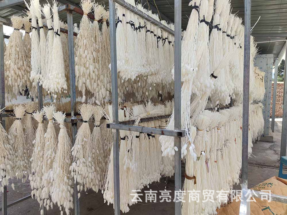 H914cf08b7aa64b7d9d3844e037979