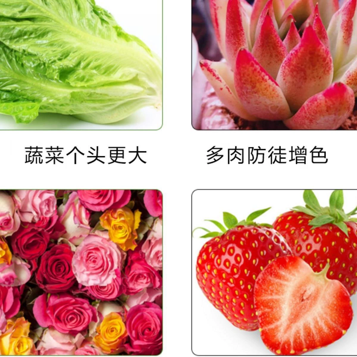 Fill light solar-powered, strawberry for growing plants, comfortable light spectrum