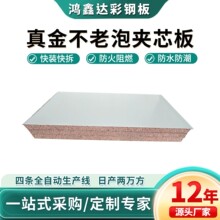 防火阻燃不老泡夹芯板 复合隔热隔墙无尘车间不老泡真金板