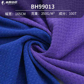 全涤经编蜂巢提花拉毛运动网眼布 球衣手套运动服针织鸟眼布料