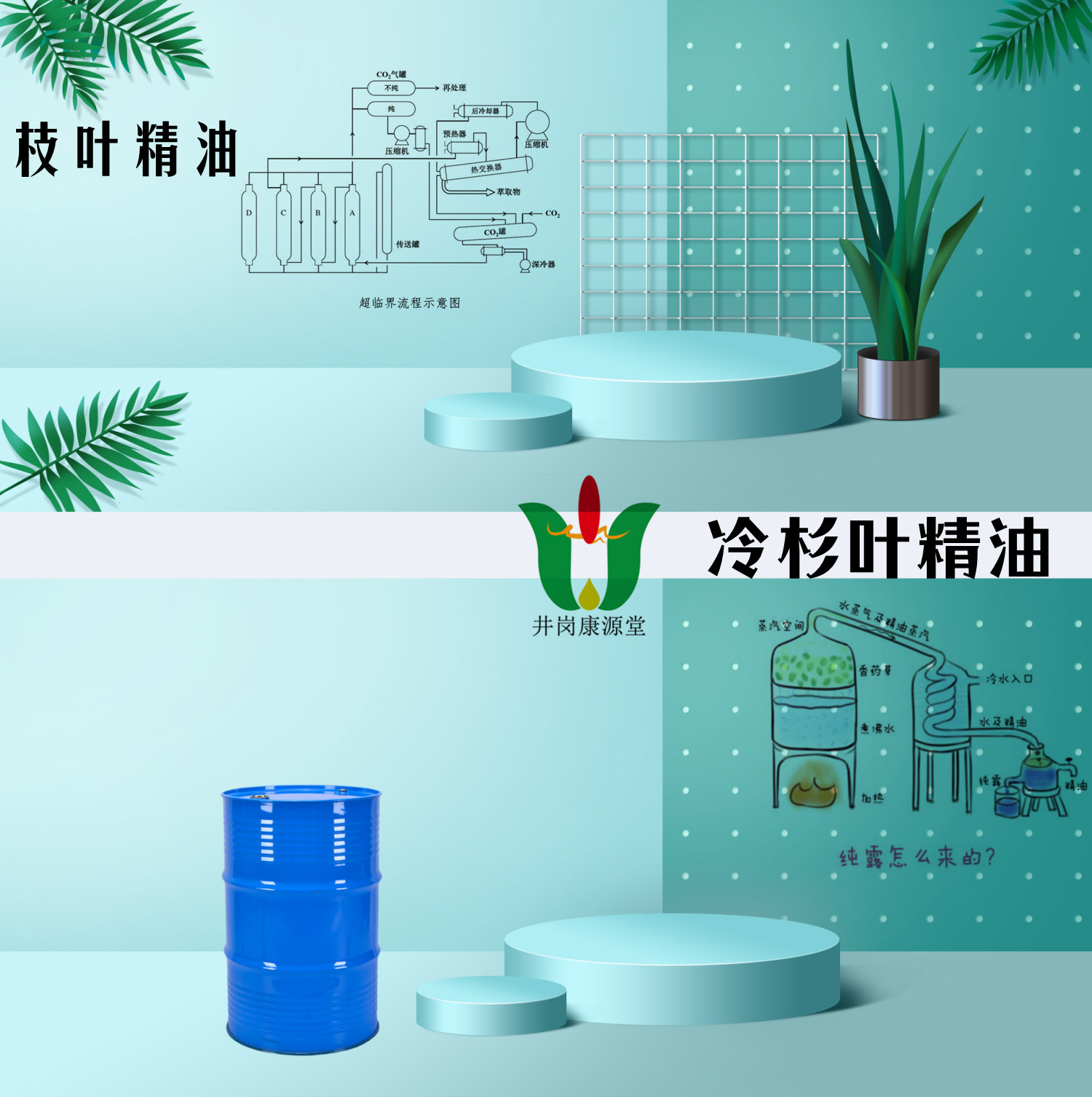 【枝叶精油】冷杉叶油蓝桉叶油龙脑樟油植物芳香剂天然植单方精油