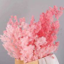 �������������ɻ�������ɫ��ɫ�Ҿ�װ�β�����DIY����ƿ��������