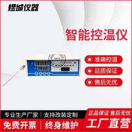 ZNHW智能控温仪数显电子节能智能控温仪器高温多路控温器厂家