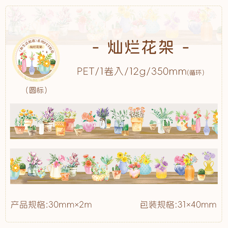 Ketchup Girl PET Retro Personaje Cintas y la vida encuentran la serie de libros de mano DIY material de decoración cinta adhesiva