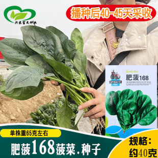 �ʲ�168���˷N�� �r��ˈ@���ļ���������ھG�й�ɲ����߲���