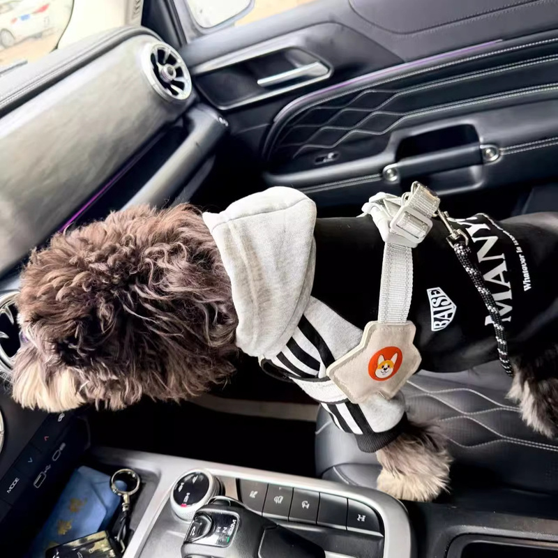 Trendy Internet Celebrity Cool and Handsome Small Dog Pet Clothes Autumn and Winter Outfit for Small Dogs Teddy Sherina Fleece-Lined Warm Sweatshirt