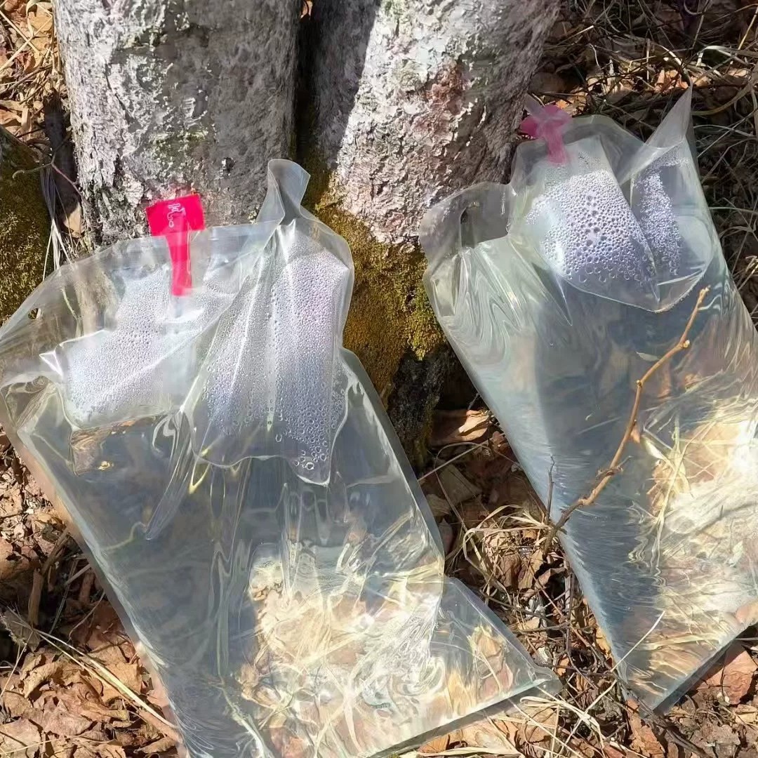 Pure Daxinganling Wild Birch Tree Sap, Original Juice, New Product, Raw Material, White Birch Juice Drink, Original Juice, 1.5 Liters, Shipped