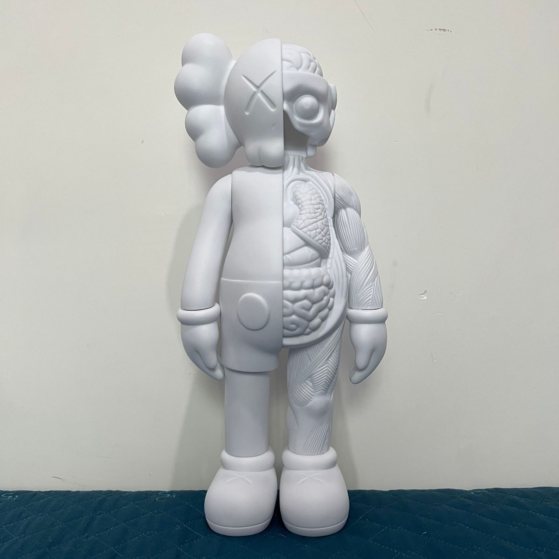 半解剖纯白-20 cm
