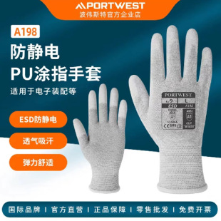 PORTWEST/����˹�� A198����PUָ��͸��̼�w�S���o늄ڱ�����