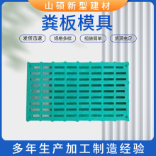 厂家供应双筋复合漏粪板绿色羊舍塑料漏粪地板产床漏粪板支持代发