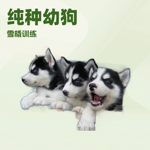 ���w��ʿ����Ȯ��ʿ�����ѻ���B����Ȯ��ʿ���{�۾��������ﹷ��