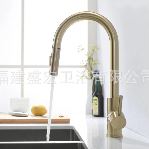 회전식 야채 세면대 수도꼭지 - 브러시드 골드 + 손잡이 표시