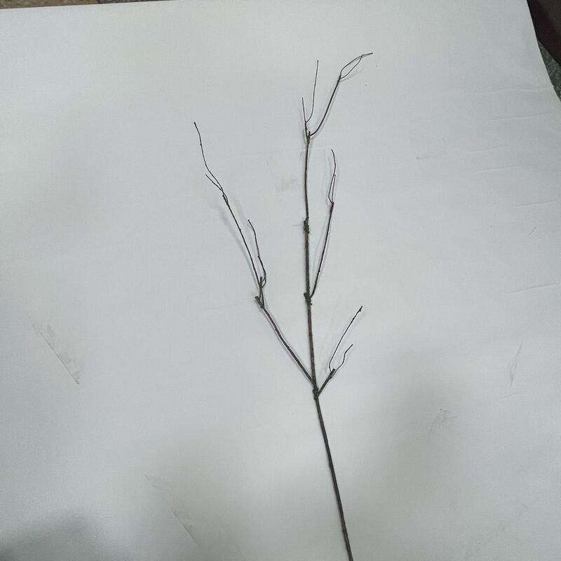 Simulated Dead Branches, Wire Poles, Foam Accessories, Green Plant Flower Arrangements, Dry Branches Shape Design, Factory Direct Sales
