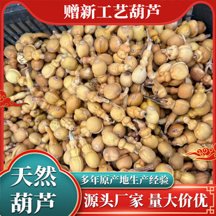 ���J�[����Ȼ������J ��������С���Jͨ؛���J�[�����J