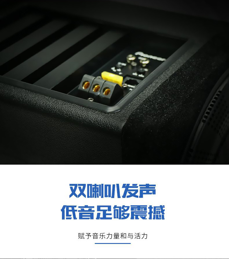 Genuine goods Japanese pioneer Audio Active Subwoofer subwoofer 10-inch Car Subwoofer Ultra-Thin Subwoofer