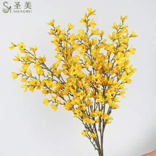 INSL滨ӭSҼҾb羳ٻ𻨔zӰ߼ٻS