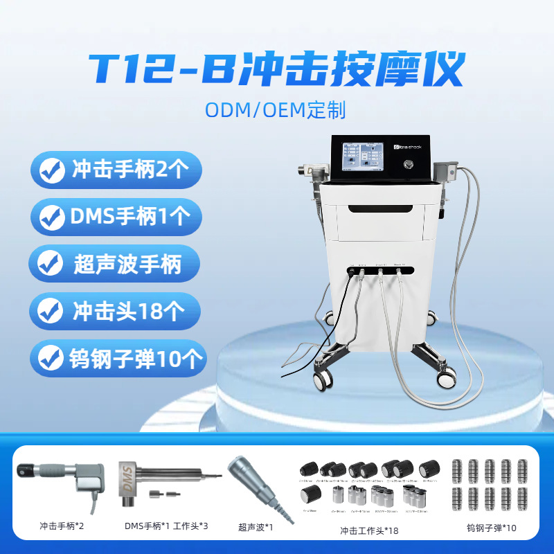 T12-B 수직 충격 마사지기 + 5세대 충격 핸들 2개 + 근막 핸들 + 업그레이드된 작업 헤드 18개 + 텅스텐 강철 총알 10개