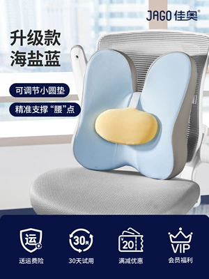 Cushion Office Lumbar Seat: Waist support - upgraded-sea-salt-blue-regular