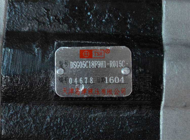 Bomba de engranajes hidráulicos de carretilla elevadora 2 toneladas piezas de carretilla elevadora eléctrica Shimadzu bomba de marcha bomba de engranajes bomba de aceite de alta presión