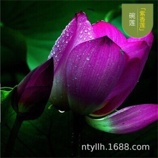 ˮֲСɏN˯ɏNźˮܴͺɻN