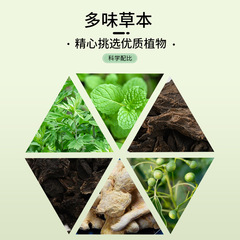 Guangzhou University of Chinese Medicine Moxa Patch, Moxa Plant Extract Navel Patch, Lazy Light Posture Patch, Moxa Waist Patch