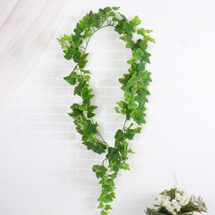 ���ټ��������Gֲ������~�҃��b��辰�G�~�~��ֲ��G�}�ٗl