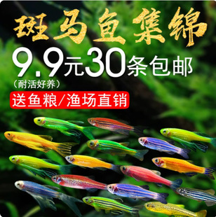 �Ꭷ�^�p�~�t�{���R�~С�ͽ��~���^�p�~������Ʒ��ȸ�t�G���ƻ��w