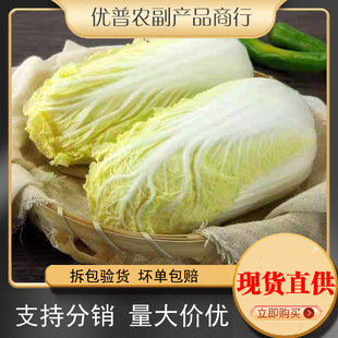 �S�����޲˸�ɽ���޲����r�����r�۴����偲��S�����r�߲��r�Ҳ�