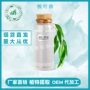 植物量大尤加利桉叶蓝桉油
