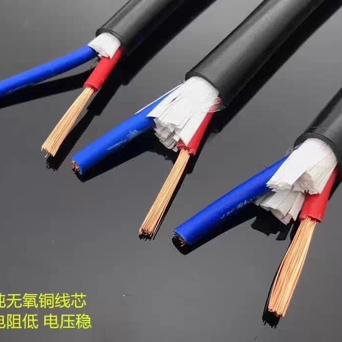 Atlántico RVV sin oxígeno cobre 2 núcleos 3 núcleos 0.5 1 1.5 2.5 cuadrado monitoreo cable de alimentación cable de control cable de vaina