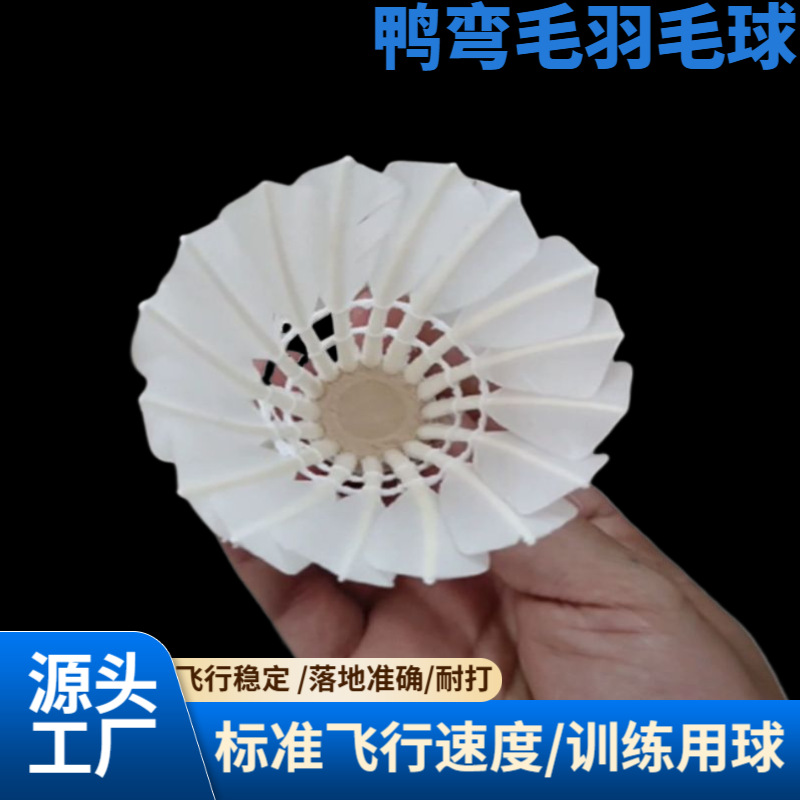 吃谷鸭弯毛 耐打羽毛球外形美观 飞行稳定落点准确 场馆训练用球