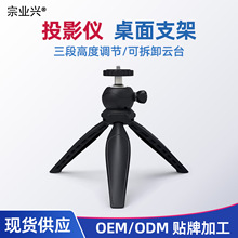 �������_�����ĔzӰֱ��ͶӰ���z֧�����C���ͶӰ�x���_��