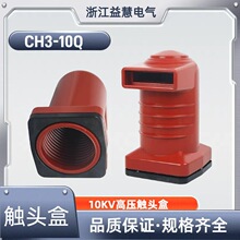 CH3-10Q�߉�10KV�|�^��630A12501600A2000A2500A3150A4000A�o�|�^