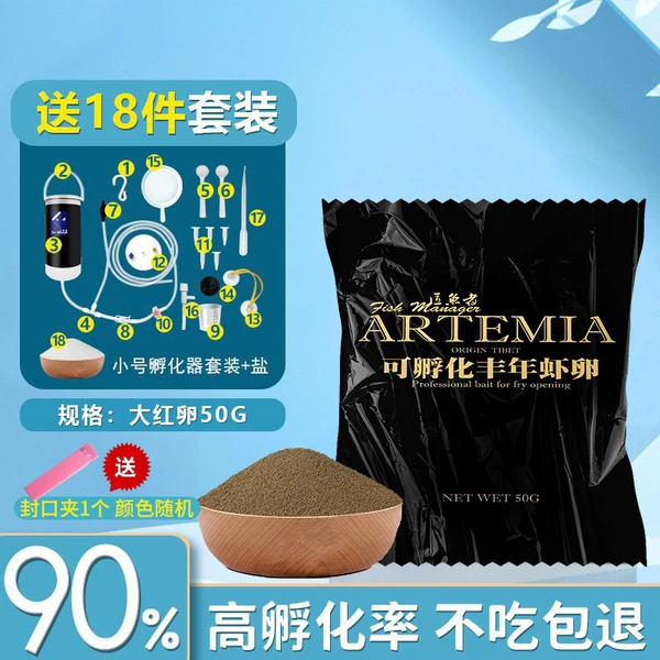 ᲦHigh dry 50g big red eggs for lazy people 18-piece incubator setღ