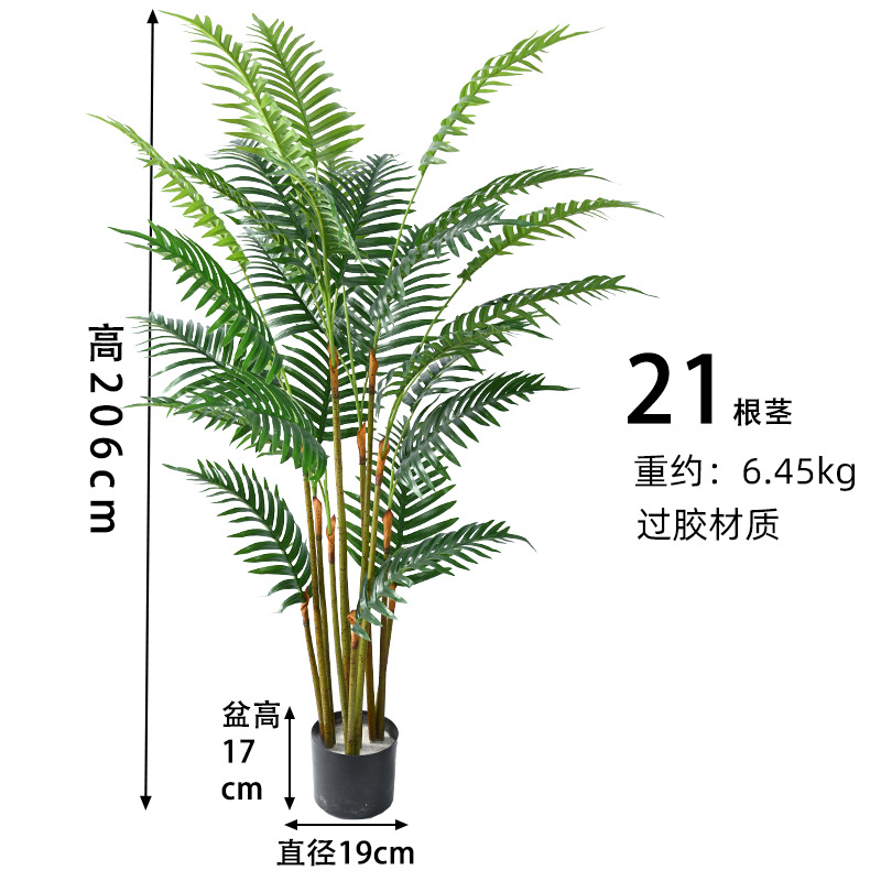 21 árbol de simulación de Rhizoma S.