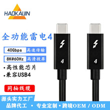 廠家定制USB線雷電4全功能數據線8K60Hz100W快充40G高速傳輸線