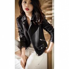 海宁皮衣真皮绵羊皮春秋修身时尚小西装领短款女装外套新款机车风
