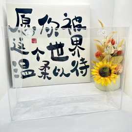 现货直销pvc材质收纳袋 花瓣孔包包保护套 贵价包保护套 透明pvc