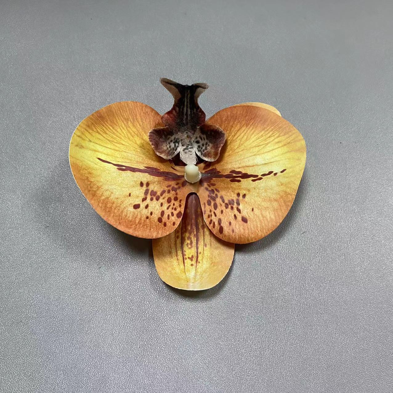 8호