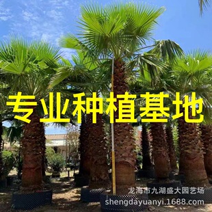 ���l�㽭���˿��A�؃r�� �������˿��� �����Aʢ�D�ؙ� �����A��