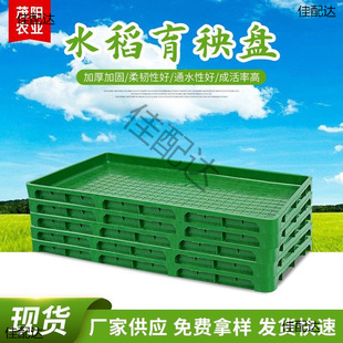 �¿�9��7��Ӻ�ˮ�������PƺС���Ͳ�����P����C����PP