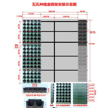 wGNֲⴹֱڒʽMֲϷNֲ