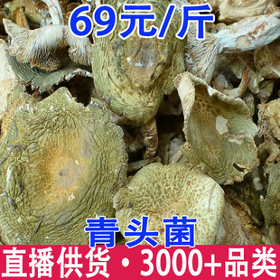 ���^�������^�� ���^�� ����خa һ�����l