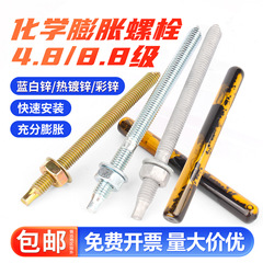 4.8 化学膨張ボルト高強度グレード 8.8 亜鉛メッキ拡張化学アンカーボルト薬剤 12M16M20