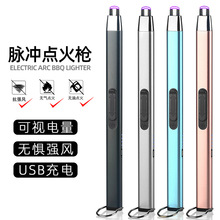 溫州金屬防風USBType-C電弧脈沖充電點火槍跨境便攜戶外充電式