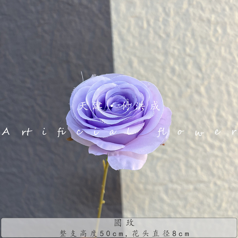 단일 둥근 장미