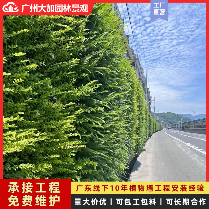 市政工程垂直绿化双面墙体遮蔽户外植物墙种植盒生态墙花槽绿植墙