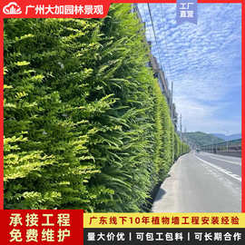 市政工程垂直绿化双面墙体遮蔽户外植物墙种植盒生态墙花槽绿植墙